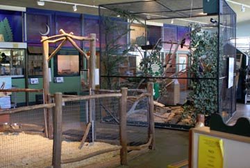 Museos dónde ir con niños en San Francisco Museos dónde ir con niños en San Francisco